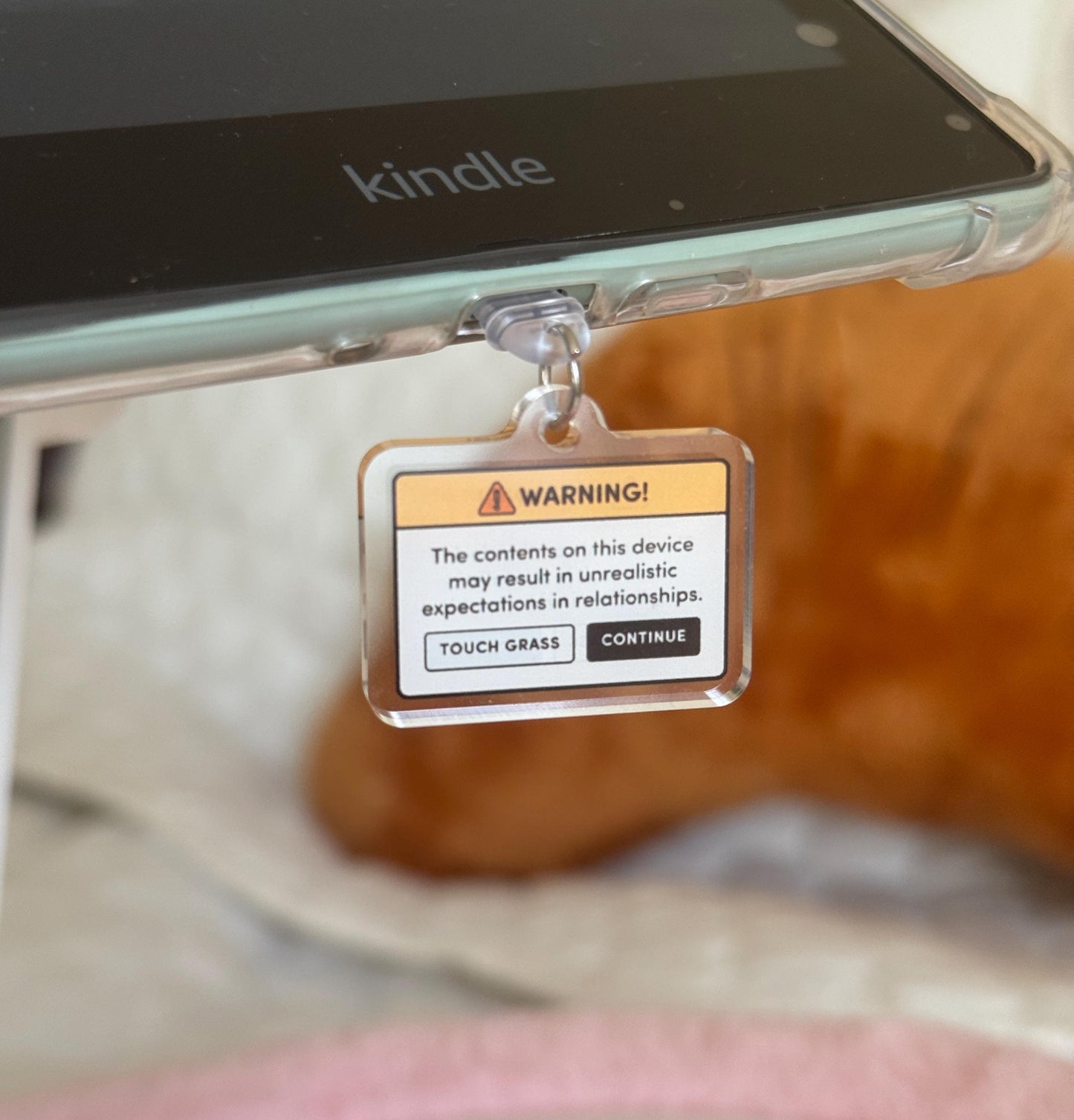 Warning: Unrealistic Expectations on this Device Kindle Charm, Kobo Charm & USB-C Plug for Book Lovers, Kindle Accessory