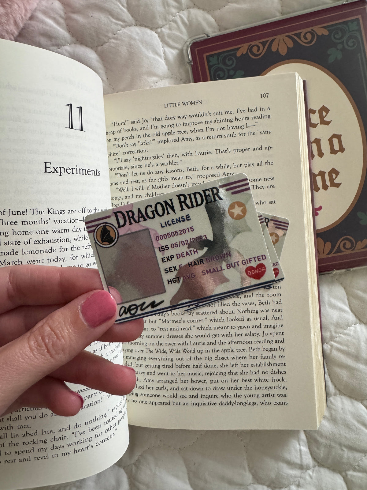Dragon Rider License Romantasy Bookish Sticker - Gift for Book Lovers