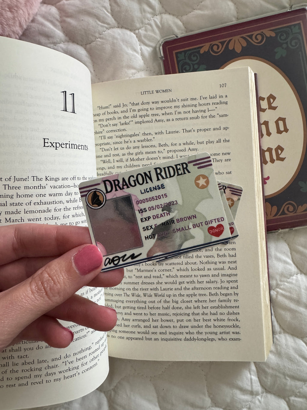Dragon Rider License Romantasy Bookish Sticker - Gift for Book Lovers